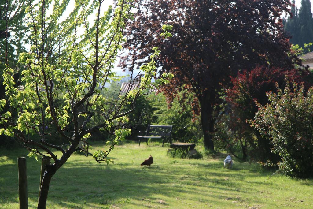 Villa Hanna Combas  Dış mekan fotoğraf