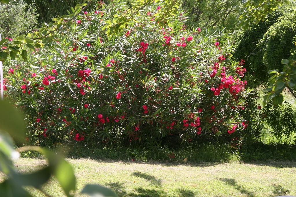 Villa Hanna Combas  Dış mekan fotoğraf